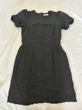 Downeast Black Textured knee-length Dress with Puff Sleeves